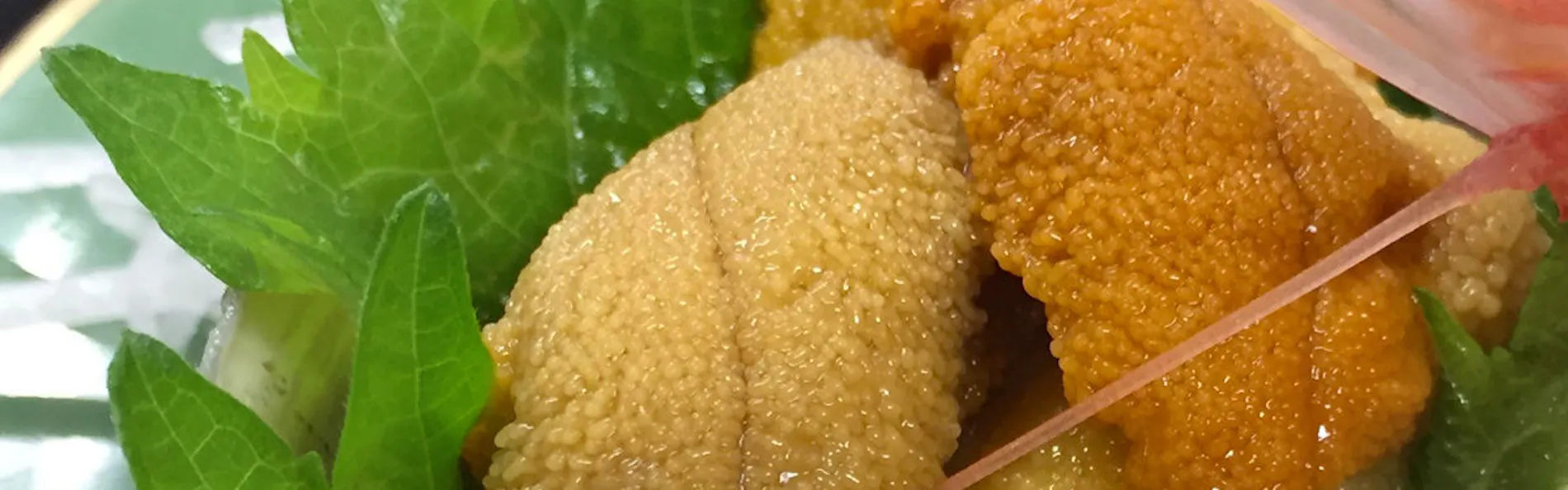 大船渡温泉