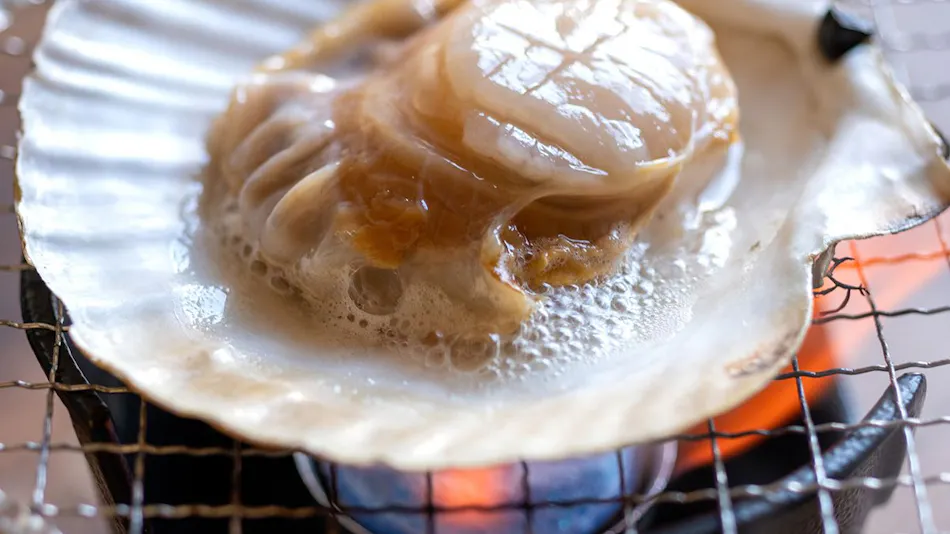 Ofunato Onsen