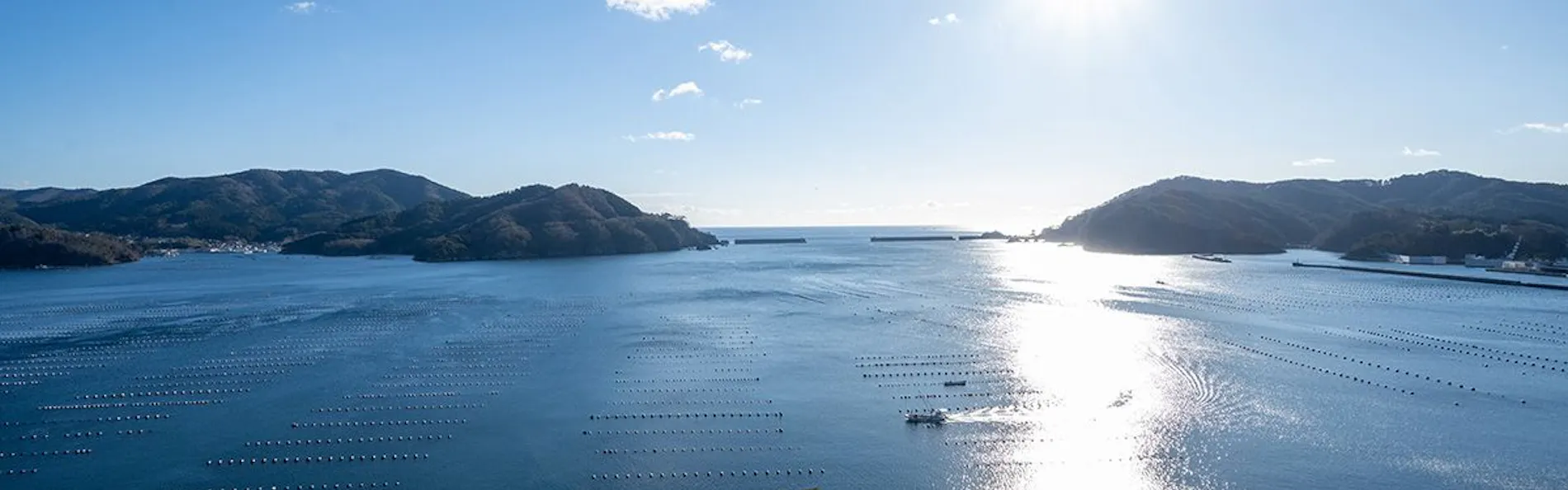 大船渡温泉