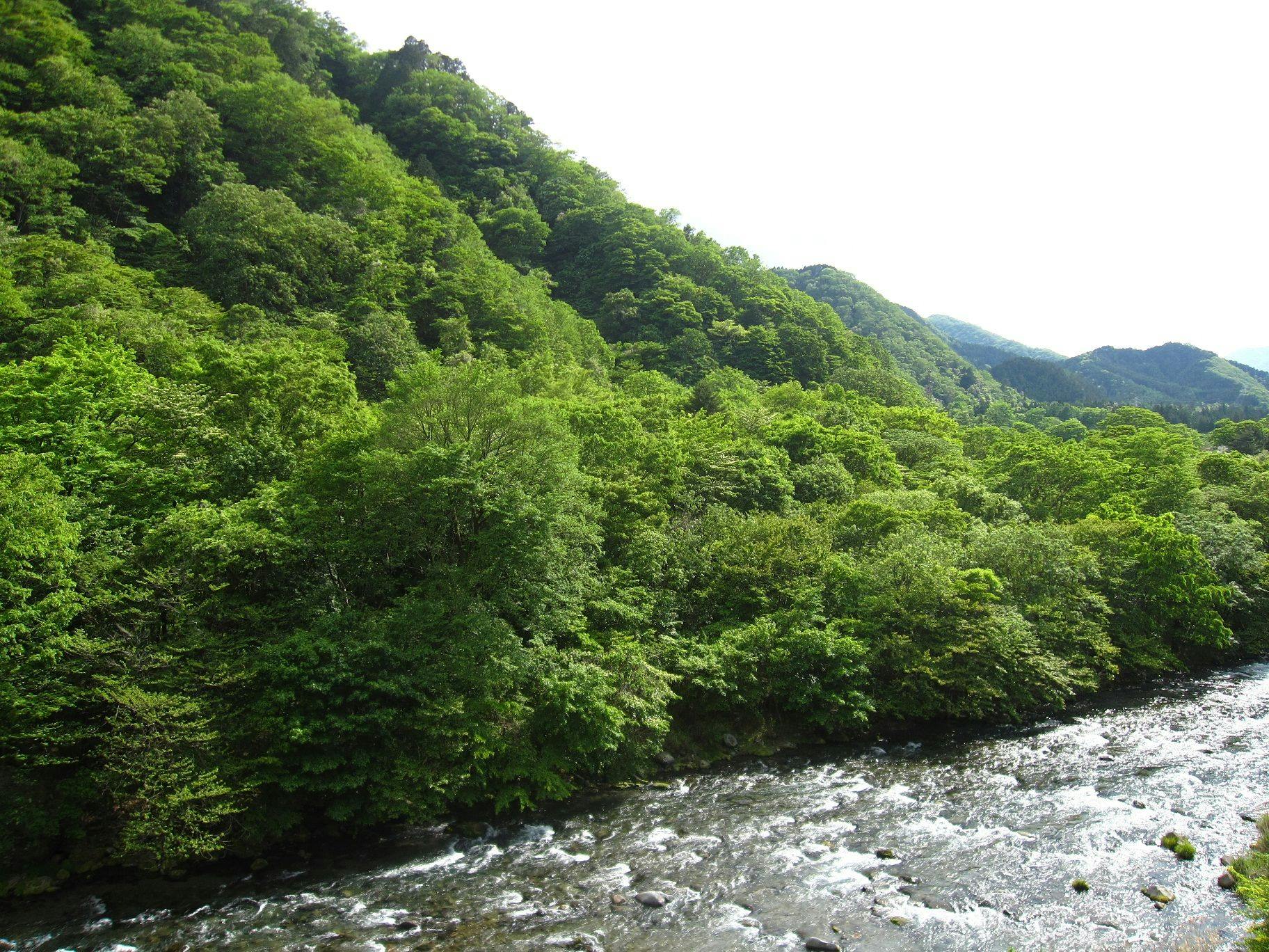 小槌の宿　鶴亀大吉