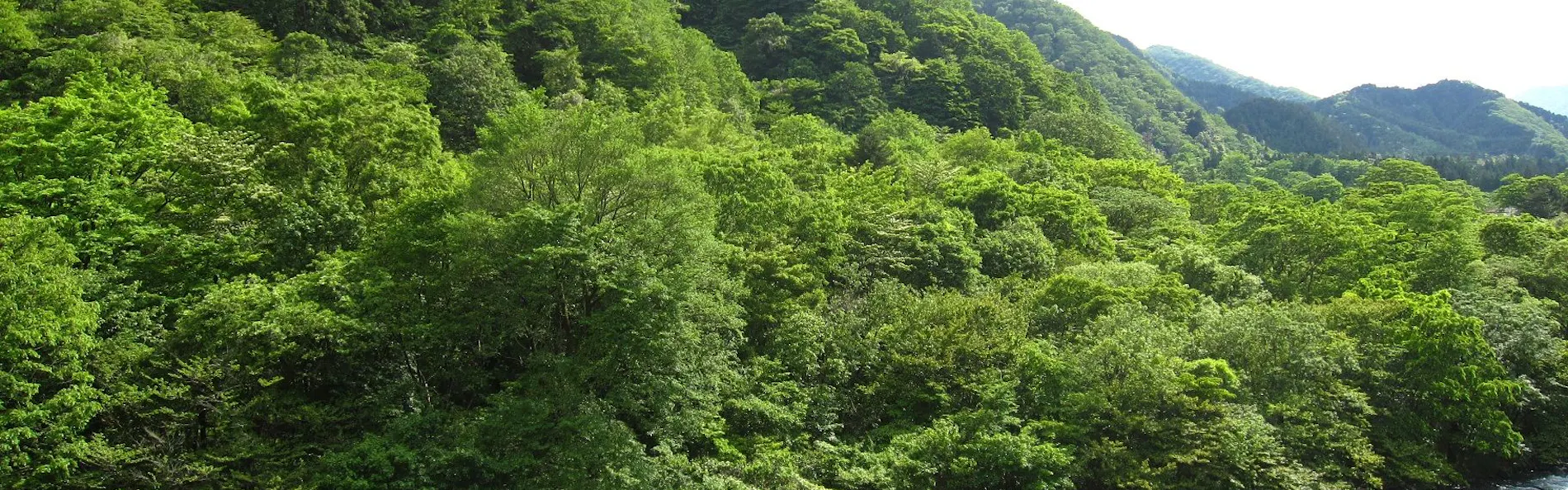 小槌の宿 鶴亀大吉