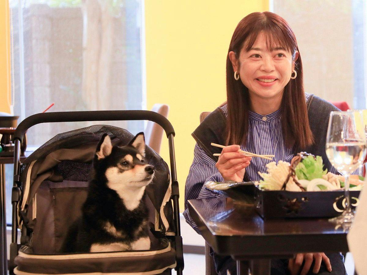 別府温泉　わんこの宿ゆるり