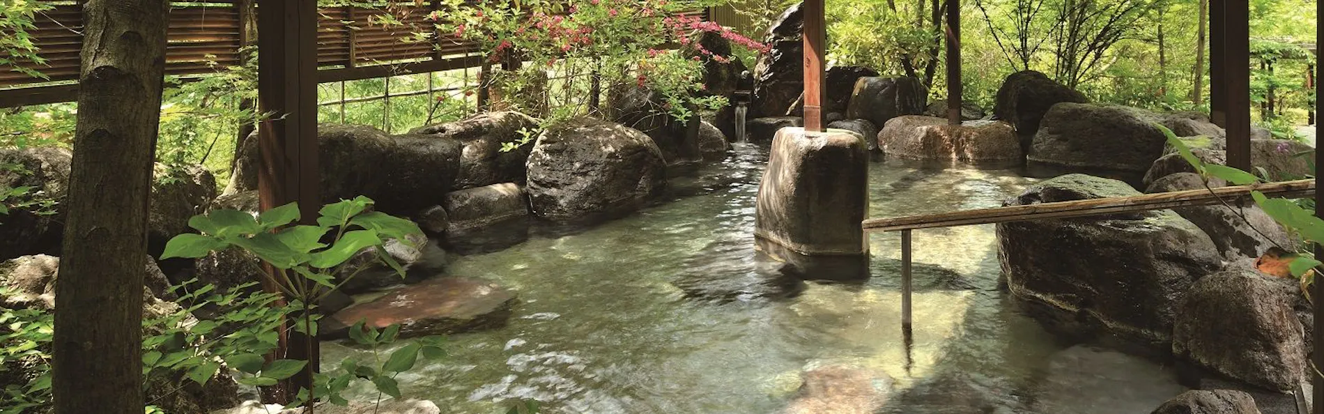 つえたて温泉ひぜんや