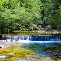 赤沢自然休養林