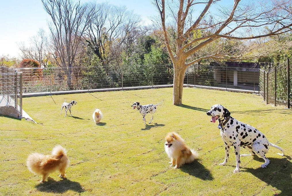ラ・ドッグリゾート 伊豆高原 全室露天付き客室と部屋食の愛犬の宿