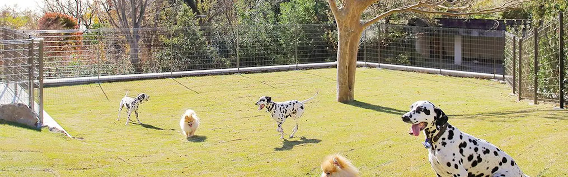 ラ・ドッグリゾート 伊豆高原 全室露天付き客室と部屋食の愛犬の宿