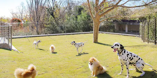 ラ・ドッグリゾート 伊豆高原 全室露天付き客室と部屋食の愛犬の宿