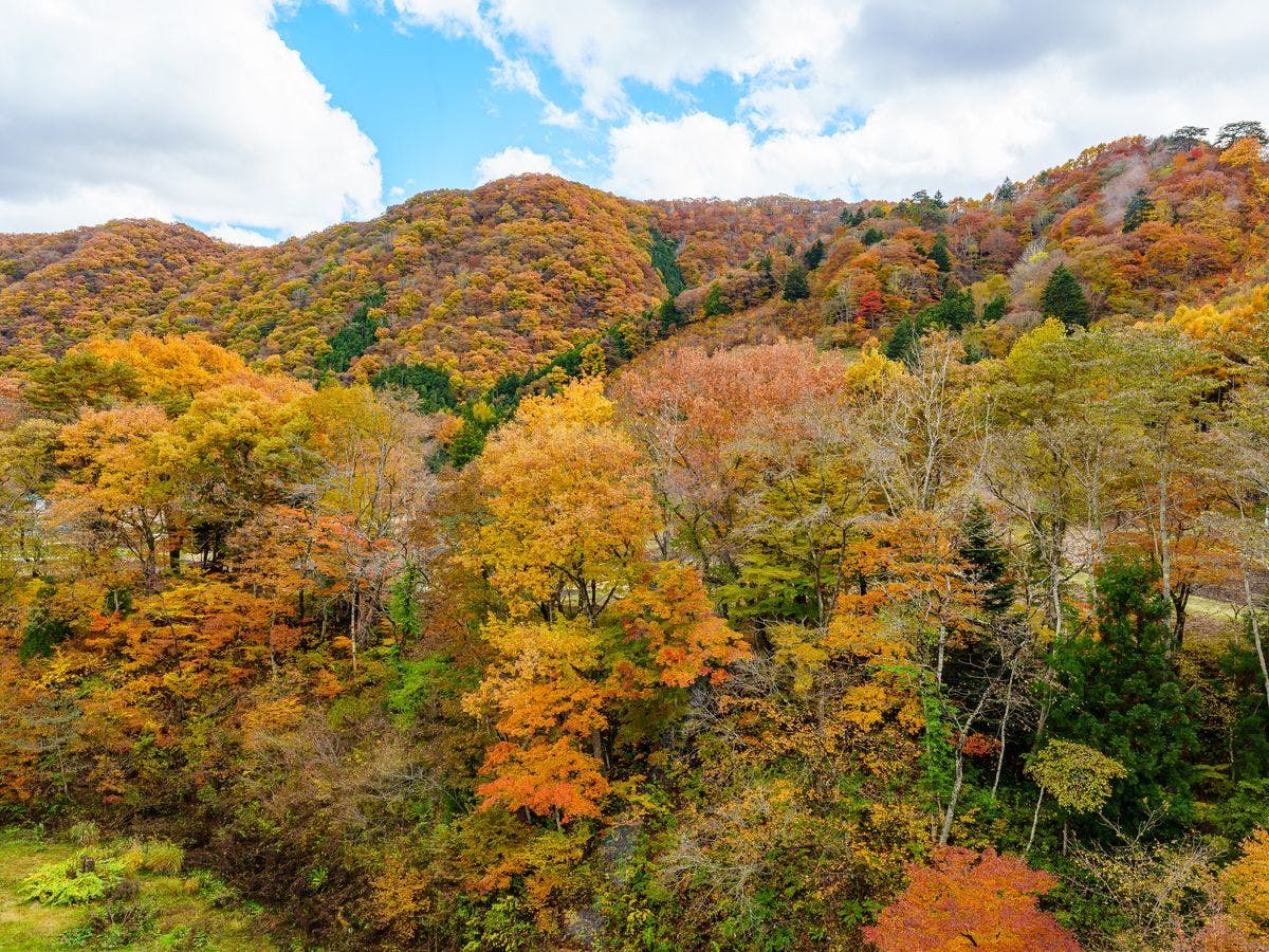 亀の井ホテル 日光湯西川 オールインクルーシブホテル