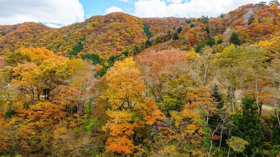 KAMENOI HOTEL NIKKO YUNISHIGAWA ALL-INCLUSIVE RESORT