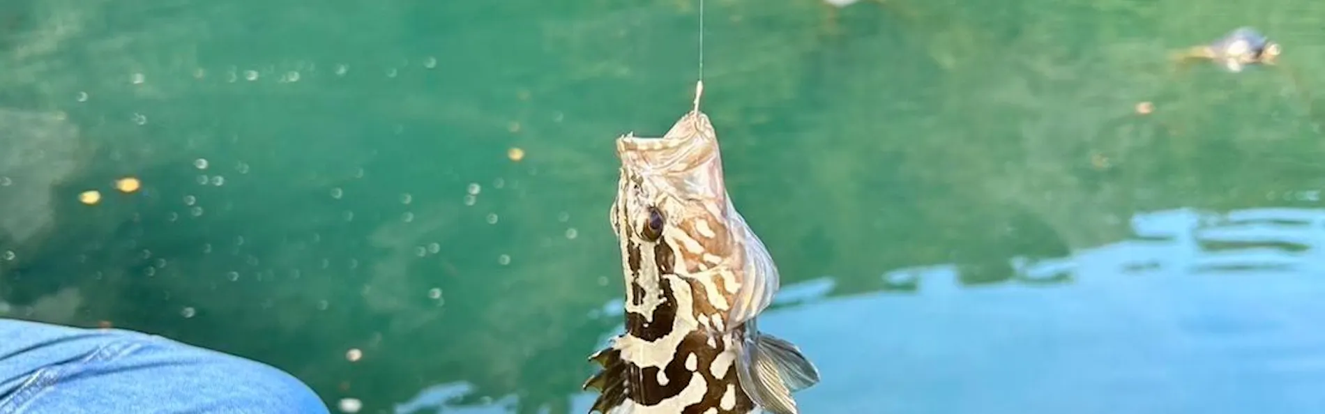 はなれ月灯