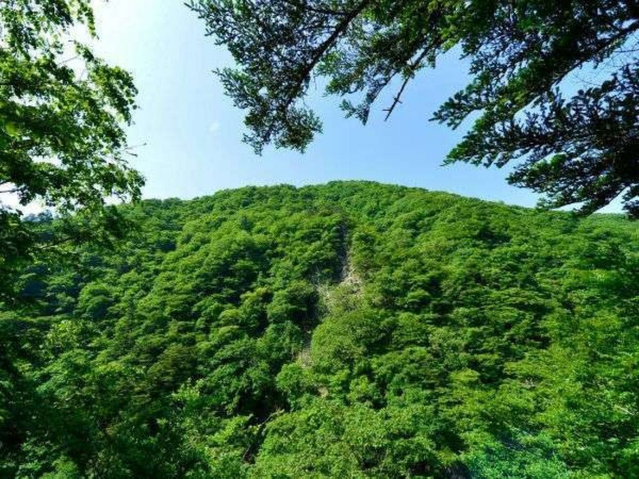 湯守田中屋
