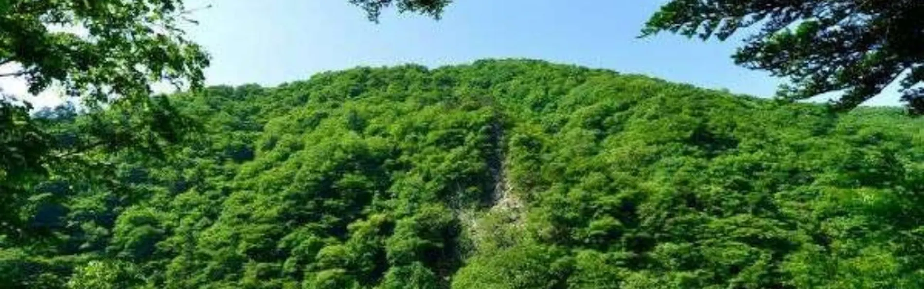 湯守田中屋