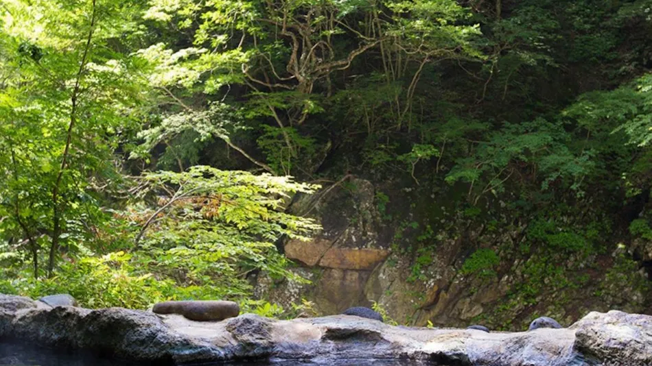 Yumori Tanakaya