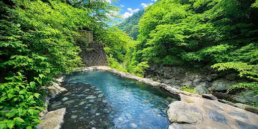 湯守田中屋