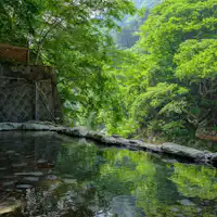 自然と一体になれる源泉かけ流しの野天風呂