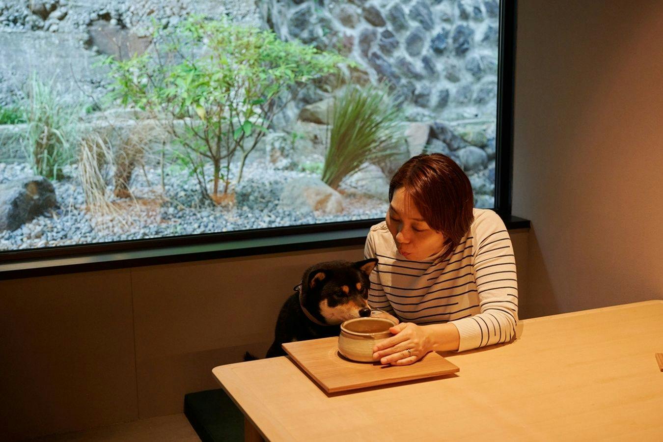 【30日前予約でお得】2階の客室で過ごす愛犬との家族時間｜朝夕食付プラン2階客室プラン