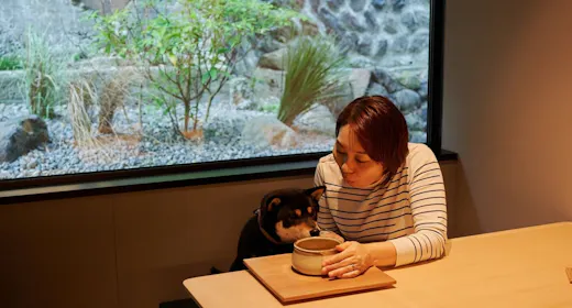 【30日前予約でお得】2階の客室で過ごす愛犬との家族時間|朝夕食付プラン2階客室プラン
