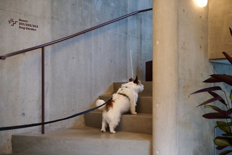 2階客室のサムネイル画像