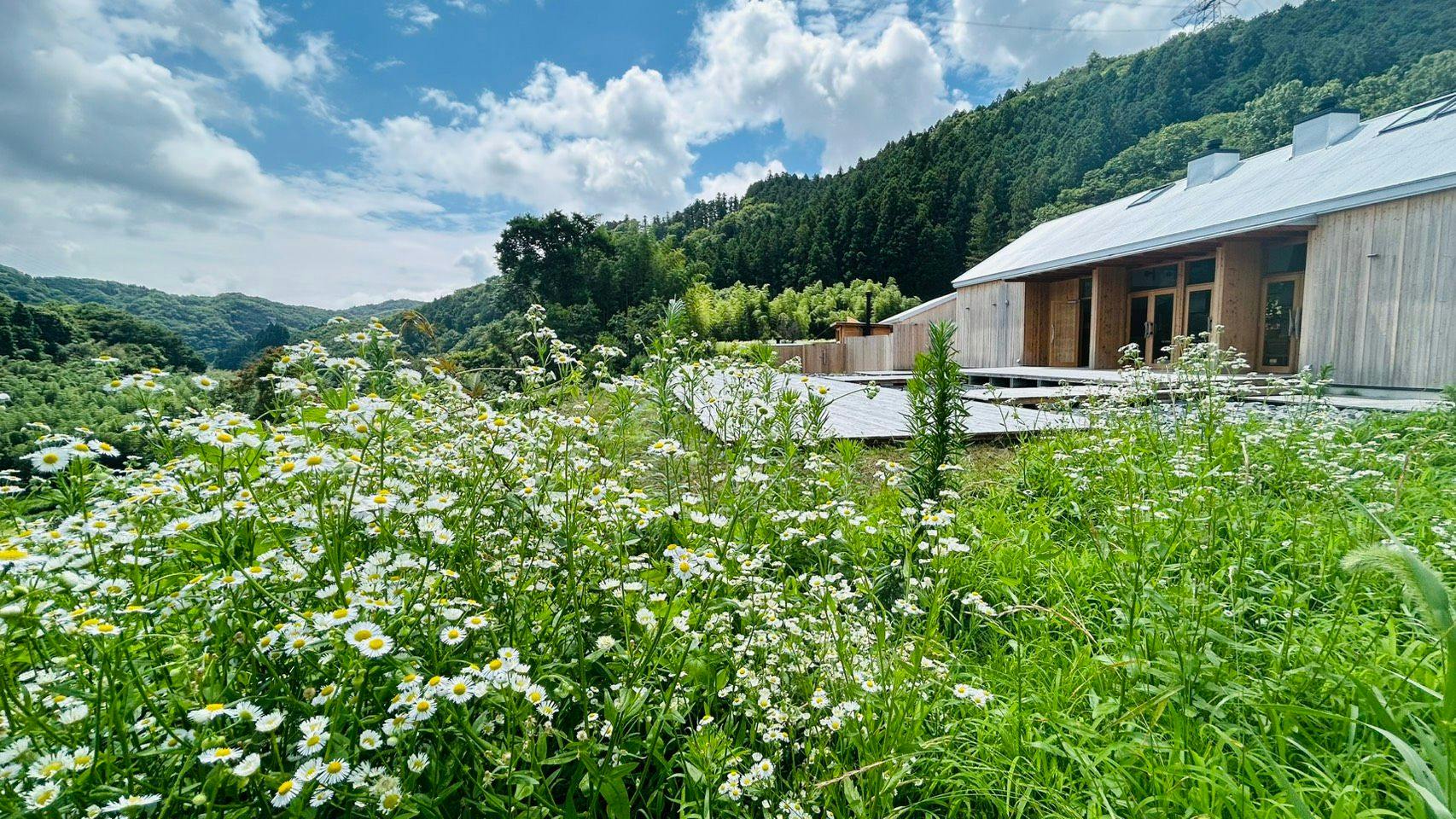 In early summer, you can feel the vibrant life of a wide variety of plants and animals.
