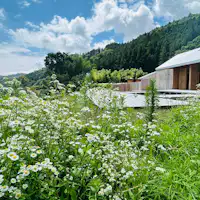 In early summer, you can feel the vibrant life of a wide variety of plants and animals.