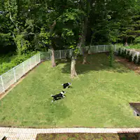 【ラ トピアリー】ドッグラン