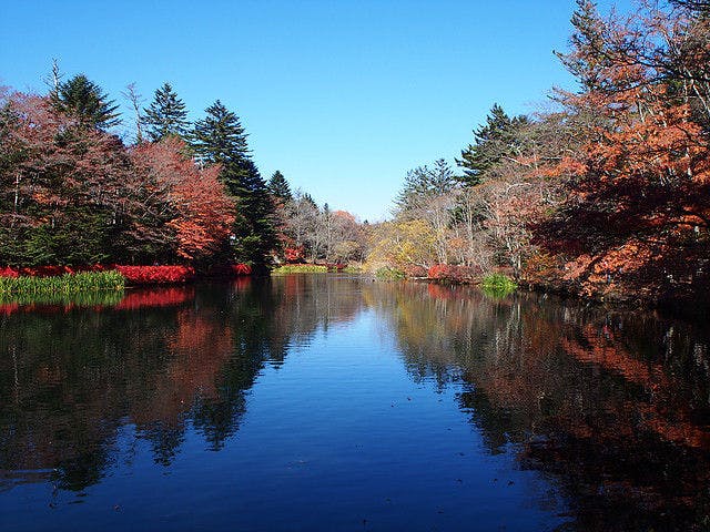 軽井沢雲場池