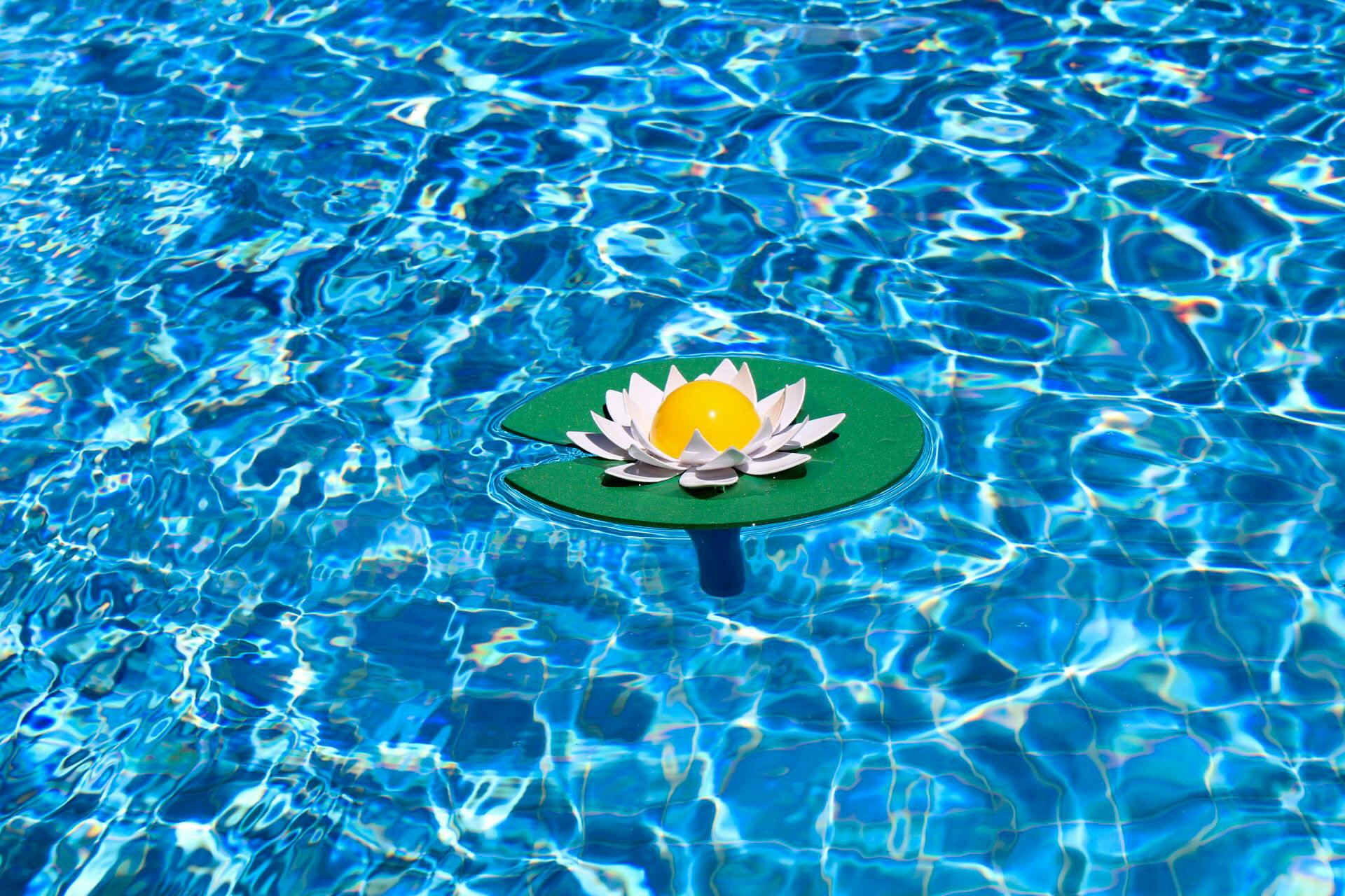 กรุณาแนบรูปภาพที่ต้องการแปล