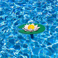 กรุณาแนบรูปภาพที่ต้องการแปล