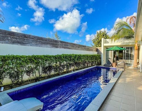 アンスリウム　※イメージ画像