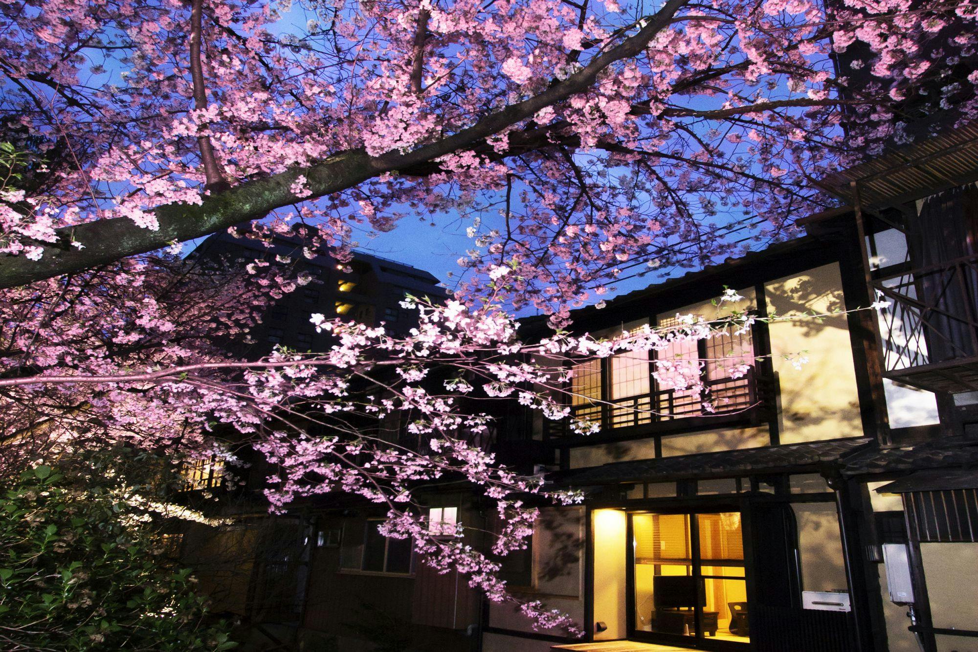 鈴　四条高瀬川