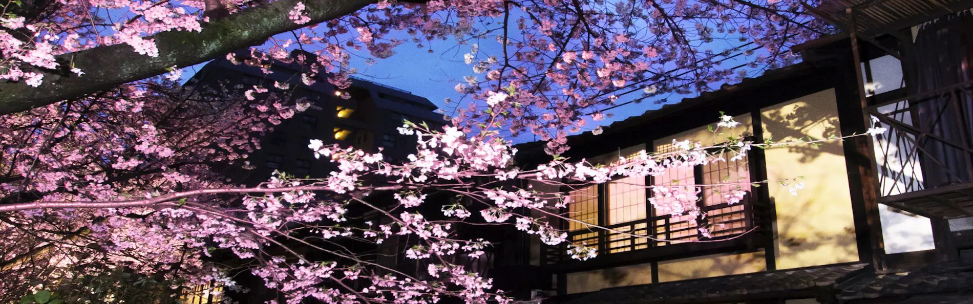 鈴 四条高瀬川