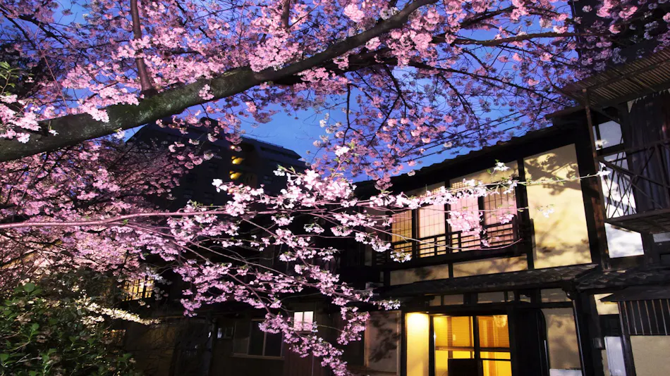 Rinn Shijo Takasegawa
