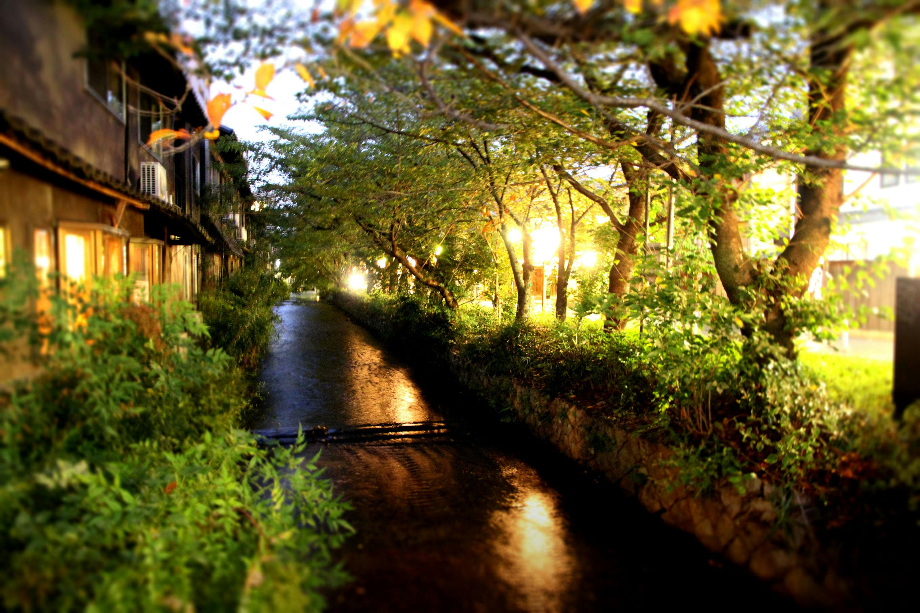 京のやど　古都葉