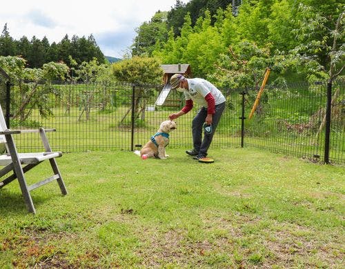 ドッグキャビンデラックス