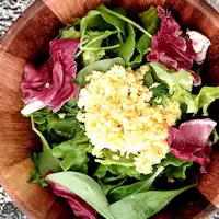 BBQ用サラダイメージ3月~5月