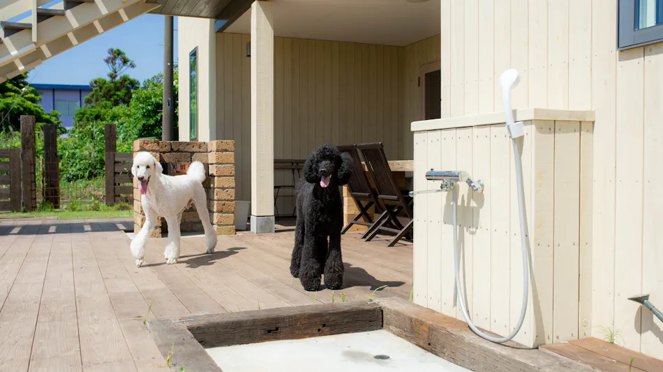 Dog Cottage Umi no Oto