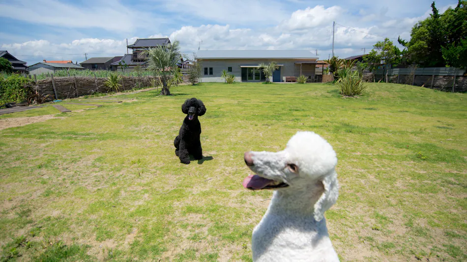Dog Cottage Umi no Oto