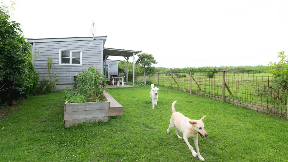 Dog Cottage Umi no Oto