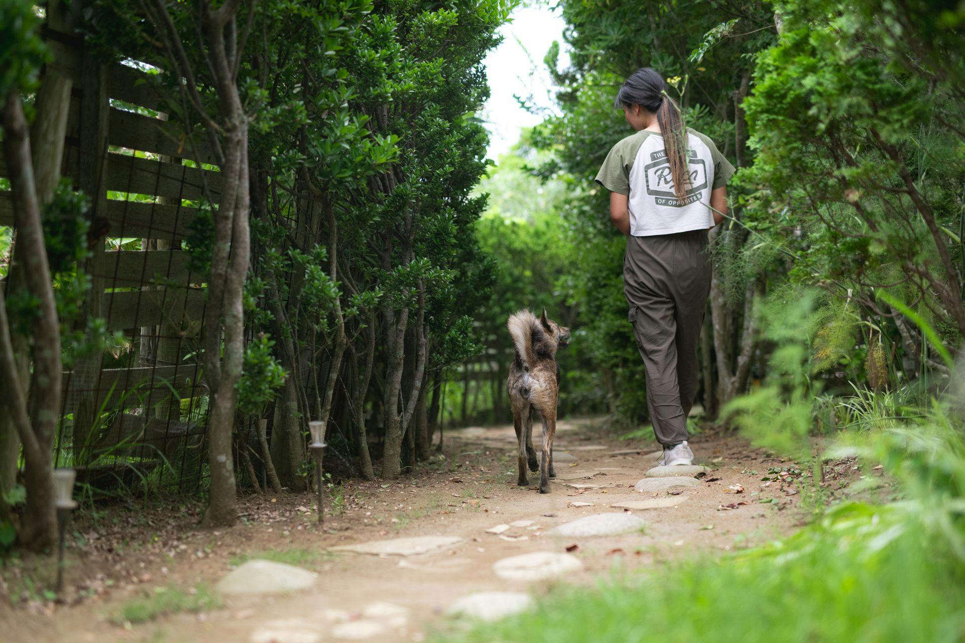 ドッグコテージ海の音