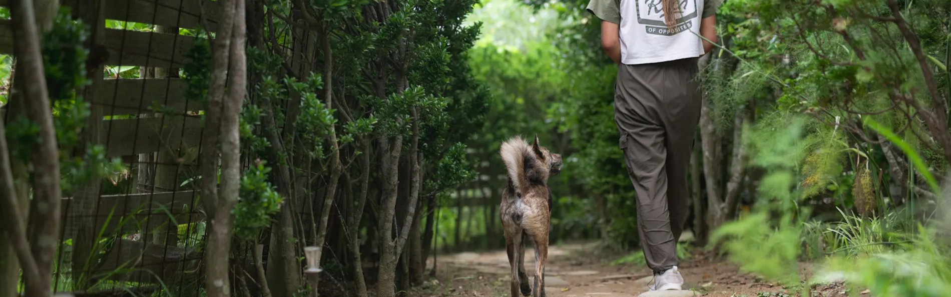 ドッグコテージ海の音