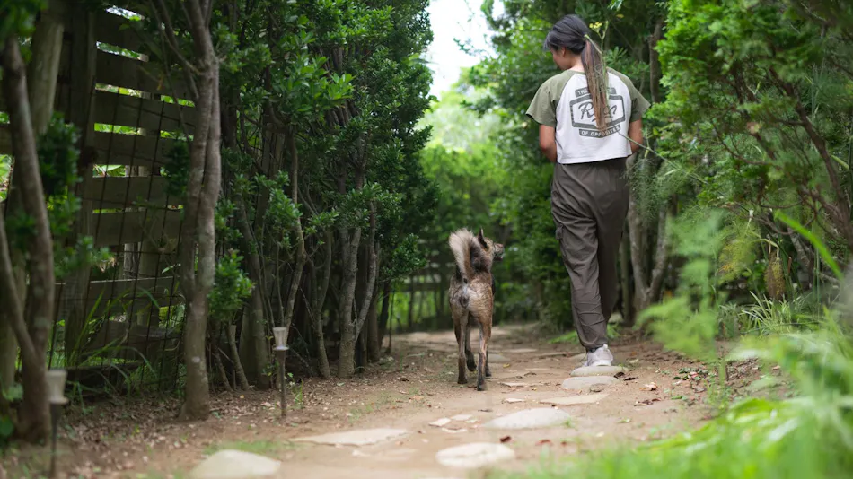 Dog Cottage Umi no Oto