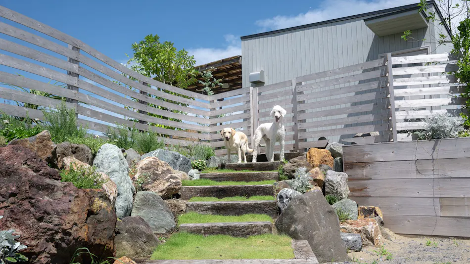 Dog Cottage Umi no Oto