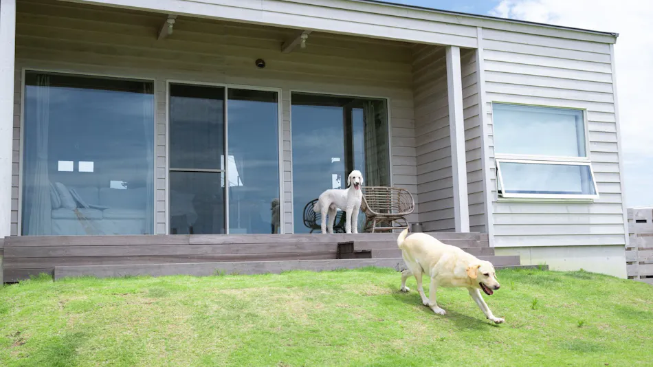 Dog Cottage Umi no Oto