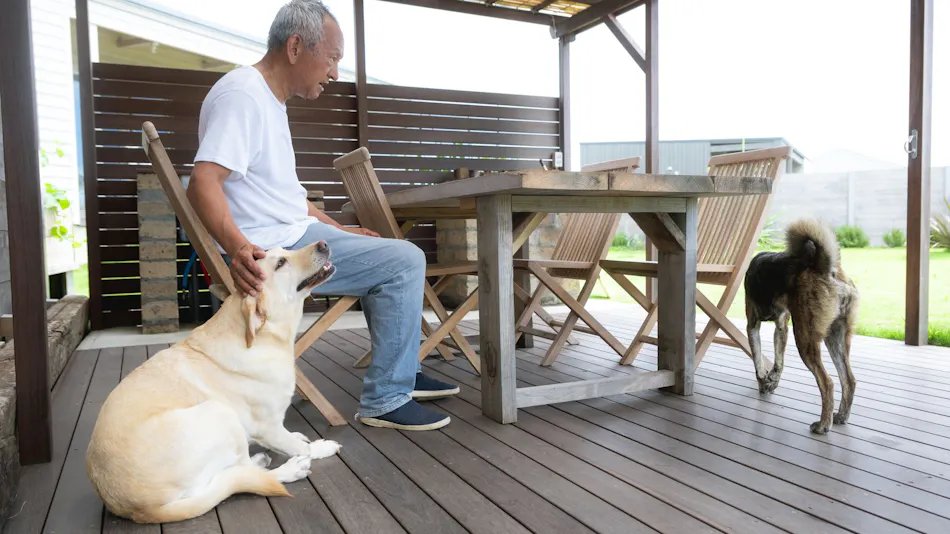 Dog Cottage Umi no Oto