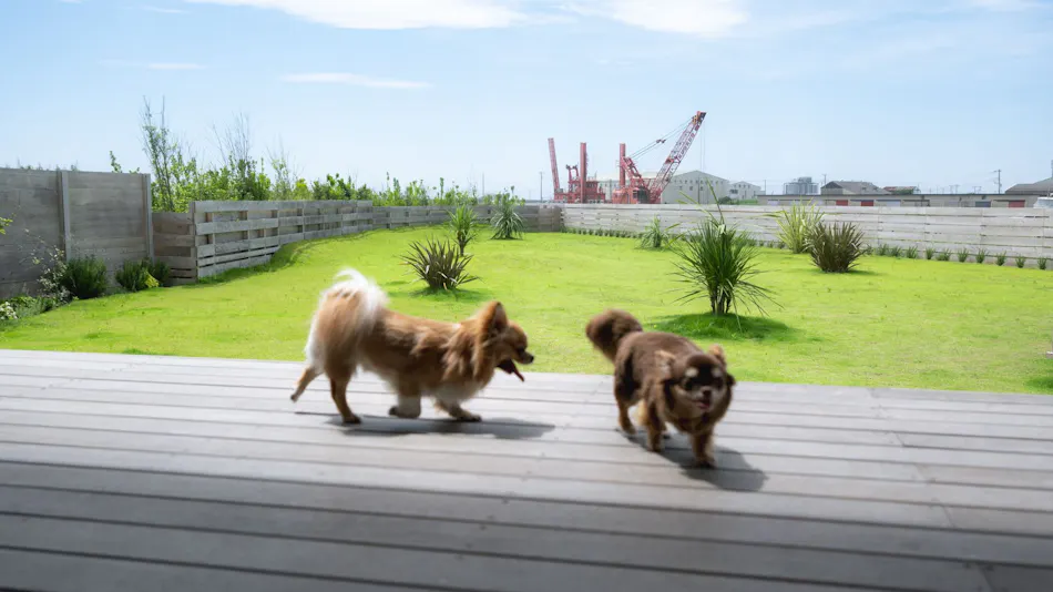Dog Cottage Umi no Oto