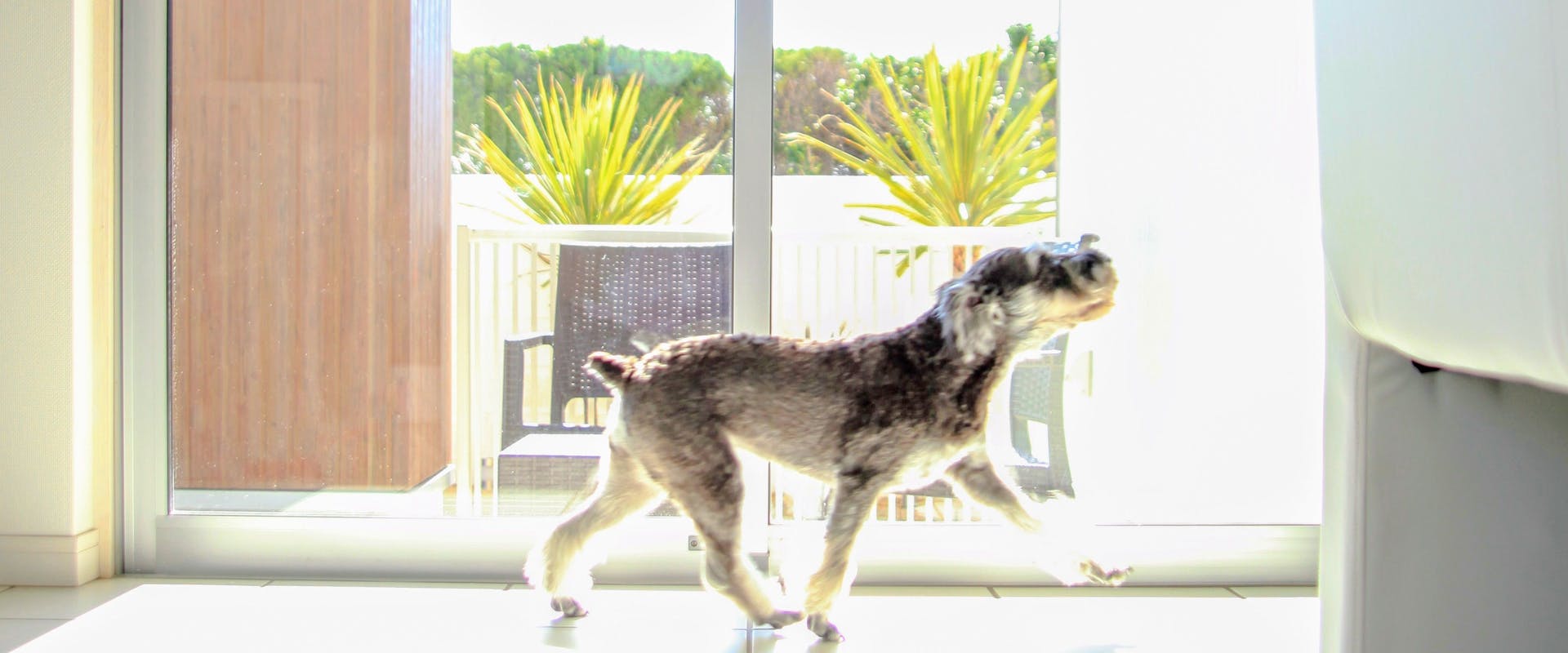 21年最新 Capetown Resortを見た人におすすめのペットと泊まれる宿ランキング 一休 Com 21年最新 Capetown Resortを見た人におすすめのペットと泊まれる宿ランキング 一休 Com