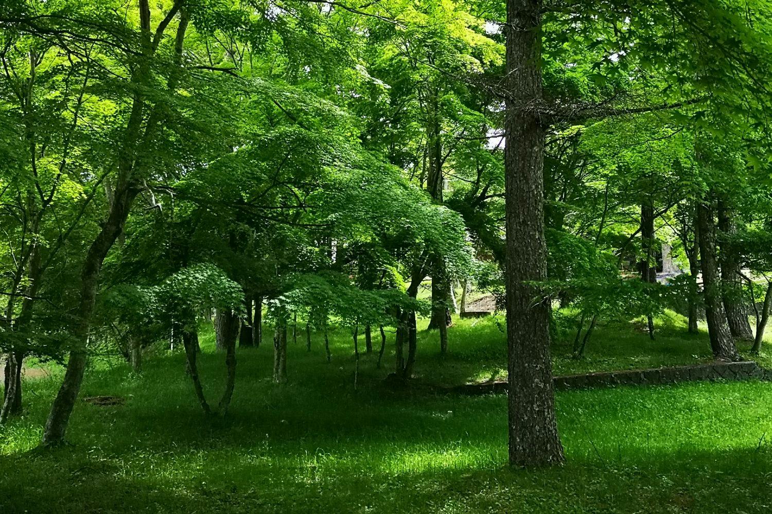 VILLA　SUOMI（ヴィラ　スオミ）