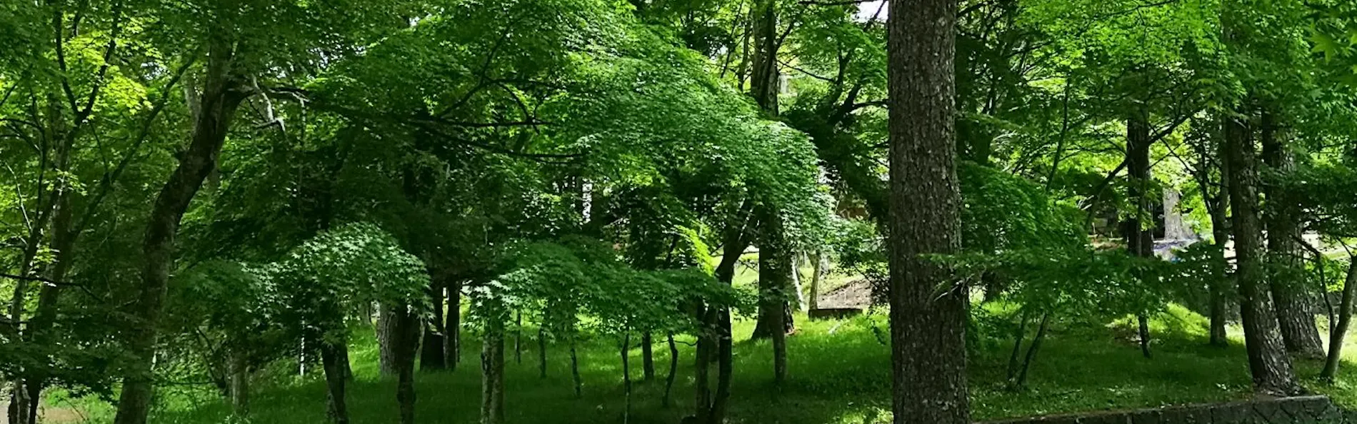 VILLA SUOMI(ヴィラ スオミ)