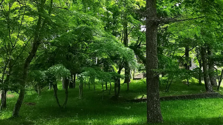 VILLA SUOMI