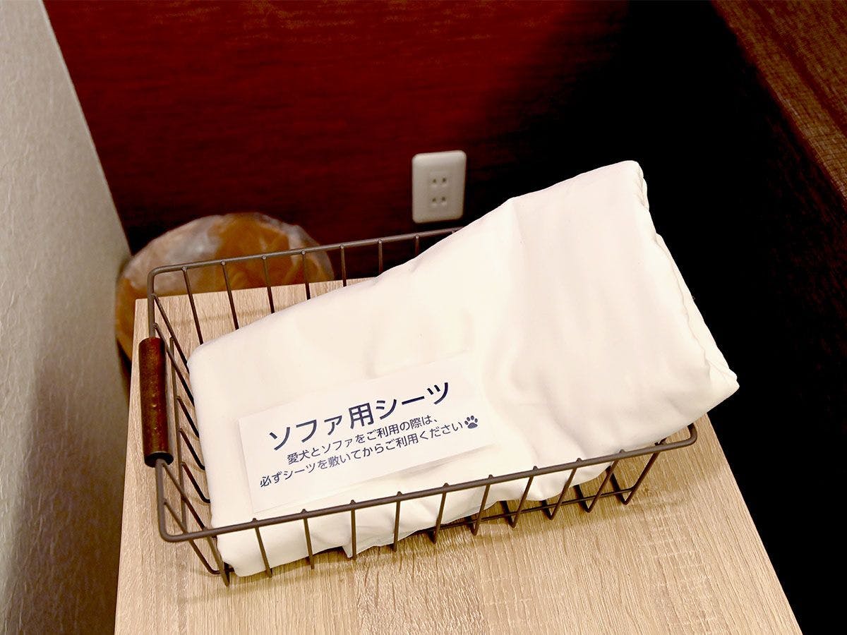 Ruang tamu dan makan untuk hewan peliharaan (gambar)